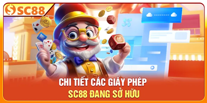 Chi tiết các giấy phép SC88 đang sở hữu